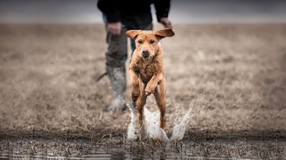 Content Block With Text And Image 1