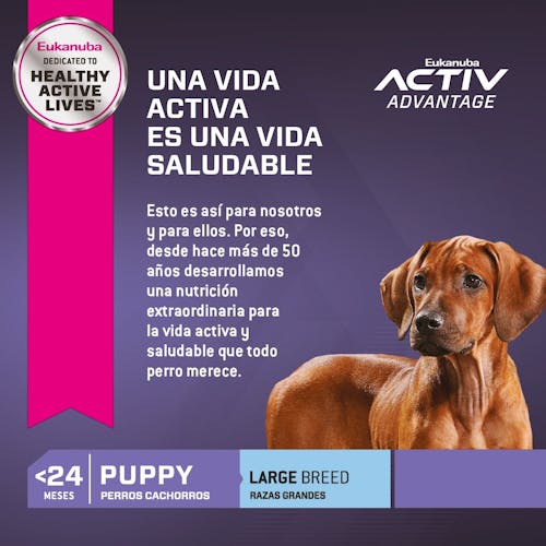 image ar-l-eukanuba-claims-2-puppy-large-breed