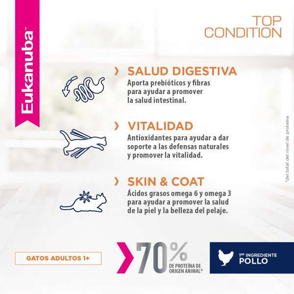 Eukanuba Gato Adulto - Top Condition image 4