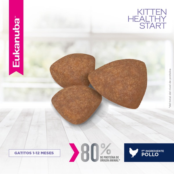 Eukanuba Gatito Kitten - Healthy Start image 2