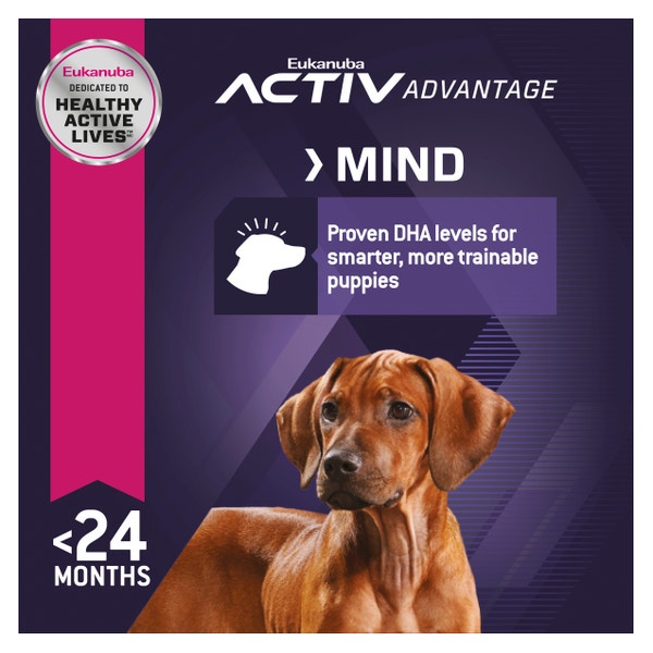 image Eukanuba%E2%84%A2%20Puppy%20Large%20Breed%20Dry%20Dog%20Food%203