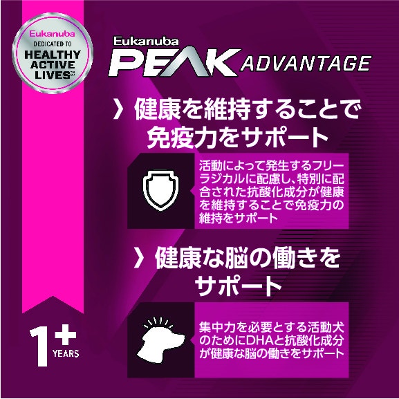 image bf8a7887-07bb-4869-8b96-f3fc4e5dfe50