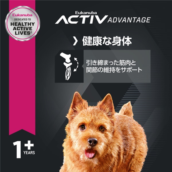 ラスト1袋 次回入荷予定【15kg】ユーカヌバ 小型犬用 成犬 スモールアダルト スモール アダルト | Eukanuba JP