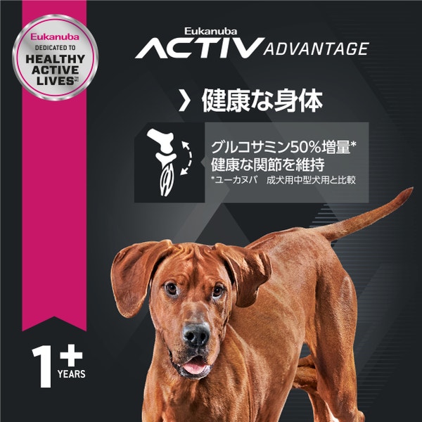 ラスト1袋★ユーカヌバ Eukanuba ラージアダルト成犬用 大型犬用 Amazon.co.jp: ユーカヌバ ラージアダルト 大型犬用 15kg
