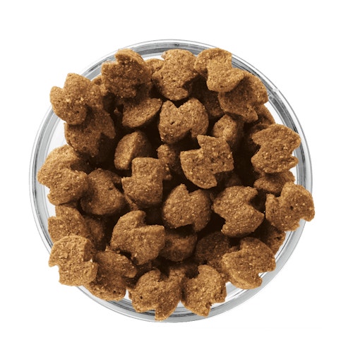 image eukanuba-kibble-bowl-adult-senior-fit-body-medium-breed_1