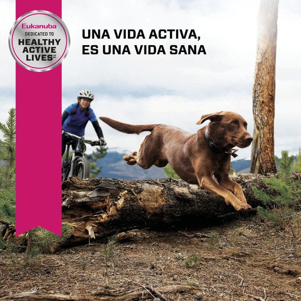 image euk-sp-adult-largebreed-chicken-mv-eretailkit-2