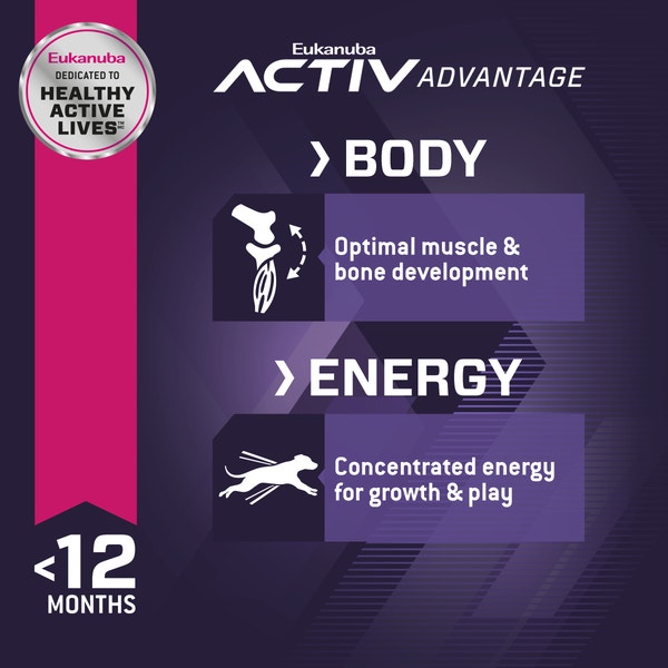 Eukanuba™ Puppy Small Breed Dry Dog Food image 3