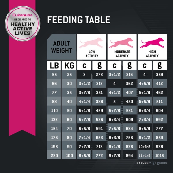 Eukanuba™ Adult Large Breed Dry Dog Food image 7