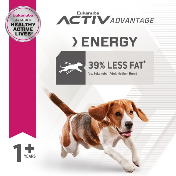 Eukanuba™ Adult Fit body Medium Breed Dry Dog Food image 4