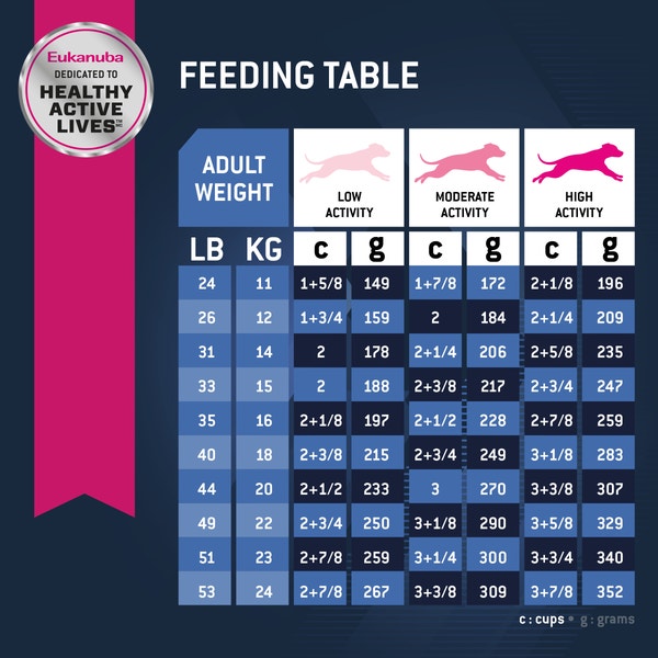 Senior Medium Breed Dry Dog Food image 7