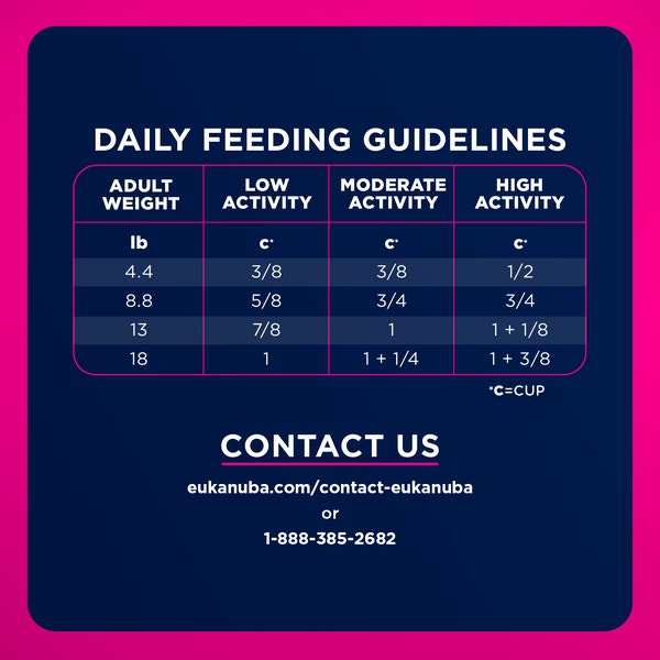 Adult Small Breed Dog Food image 7