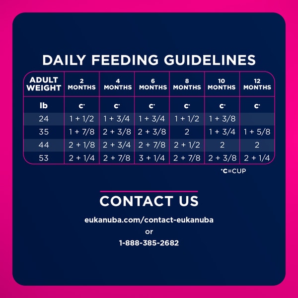 Puppy Medium Breed Dry Dog Food image 6