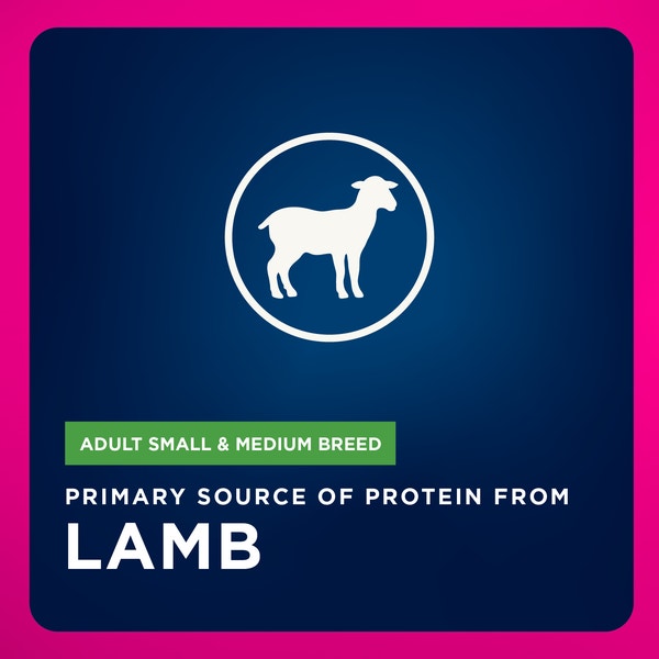 Adult LP Small & Medium Breed Dry image 4