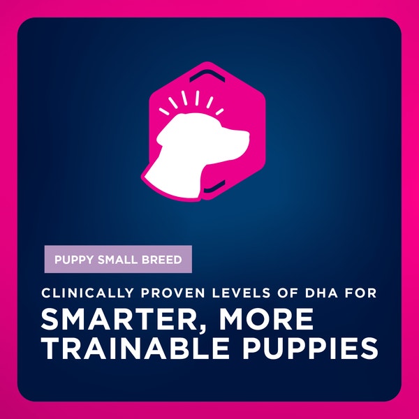 Puppy Small Breed Dry Dog Food image 4