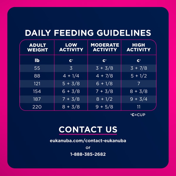 Adult Large Breed Dog Food Dry image 7