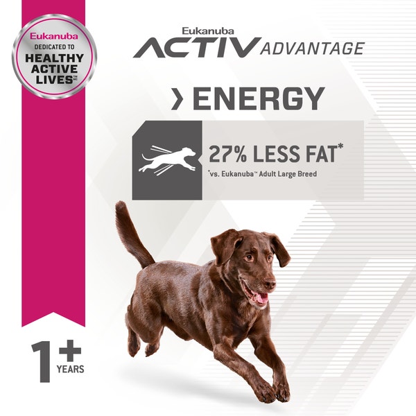 Fit Body Weight Control Large Breed Dry Dog Food image 4