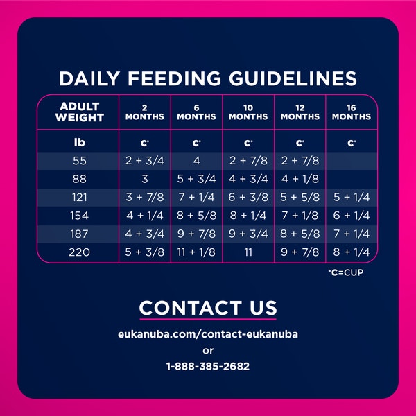 Puppy Large Breed Dry Dog Food image 6