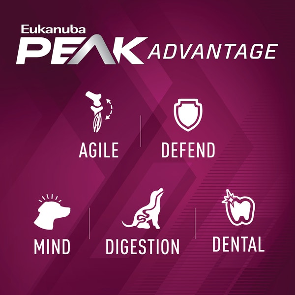 Premium Performance 21/13 Sprint Dry Dog Food image 4