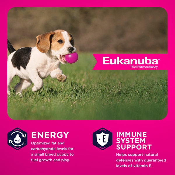 Puppy Small Breed Dry Dog Food image 3