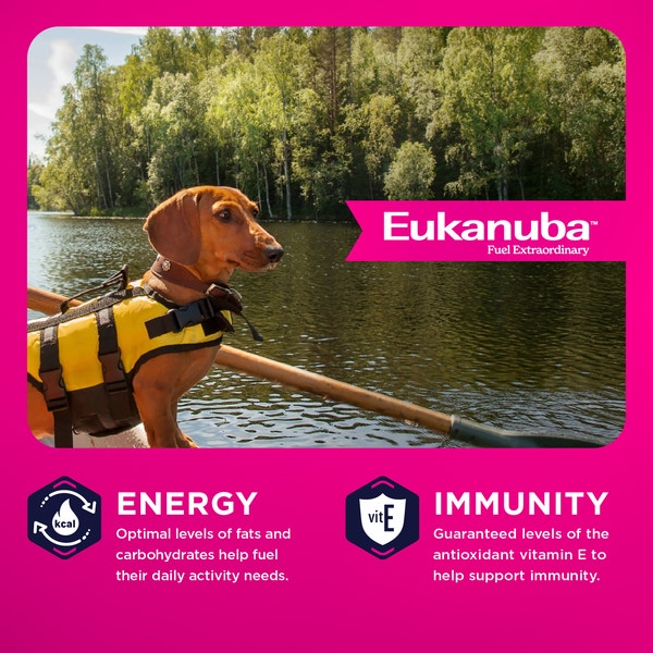 Adult Small Breed Dog Food image 3