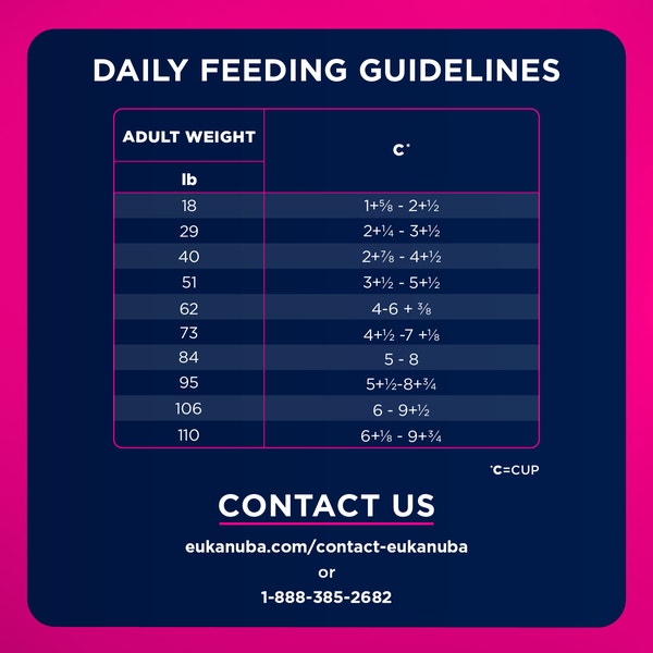 Premium Performance Exercise 26/16 Adult Dry Dog Food image 7