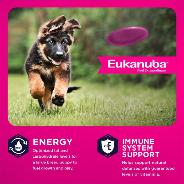 Puppy Large Breed Dry Dog Food image 3