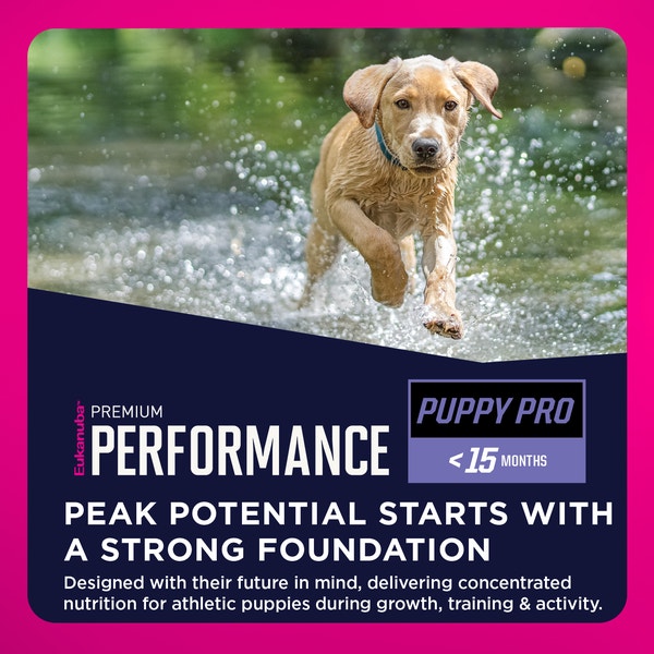 Premium Performance Puppy Pro Dry Dog Food image 4