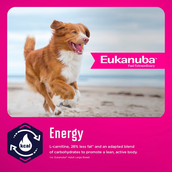 Eukanuba™ WM Weight Management Large Breed Dry Dog Food, 33 lb image 3