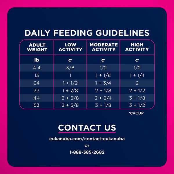 Adult Small Bites Dry Dog Food image 7