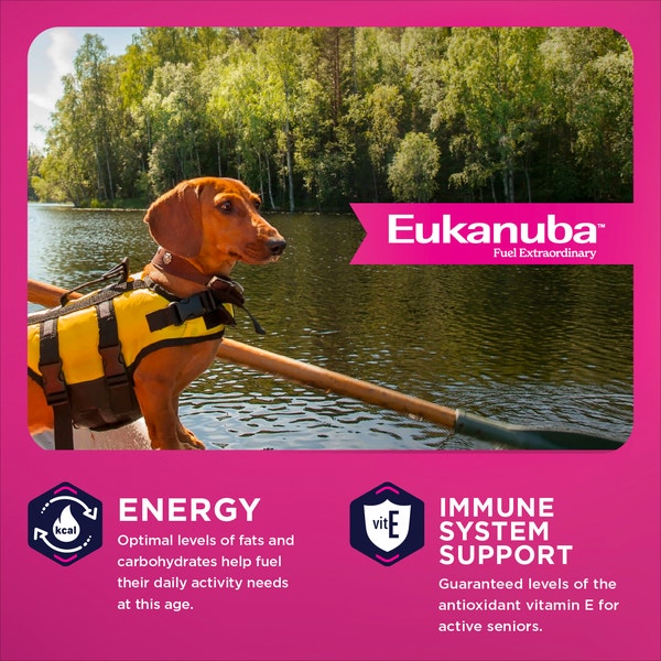 Senior Small Breed Dry Dog Food image 3