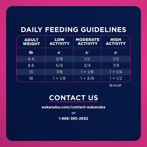 EUKANUBA WM Weight Management Small Breed Dry image 7