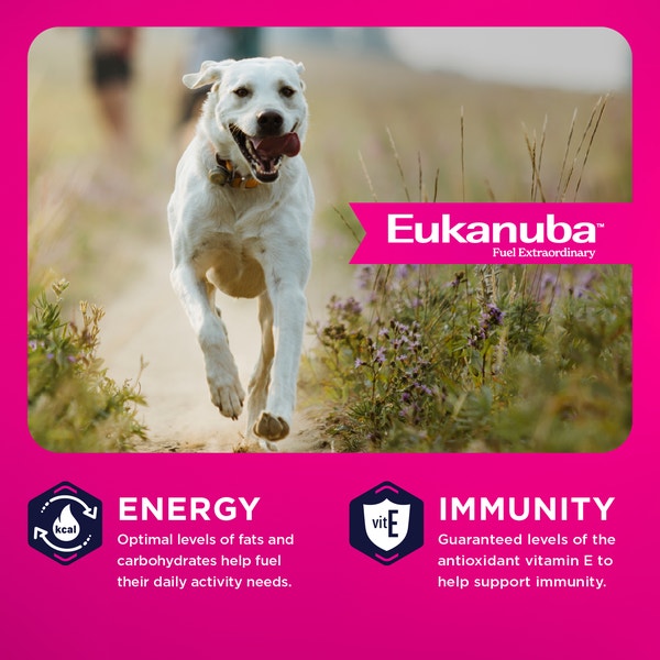 Eukanuba™  Adult LP Large Breed Dry Dog Food, 33 lb image 3