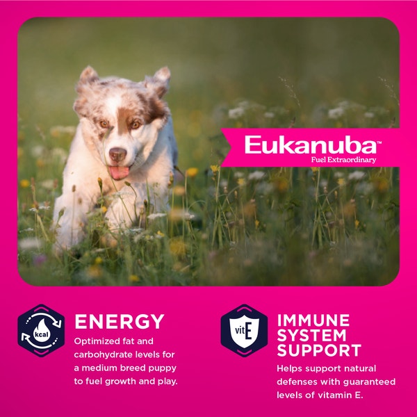 Puppy Medium Breed Dry Dog Food image 3