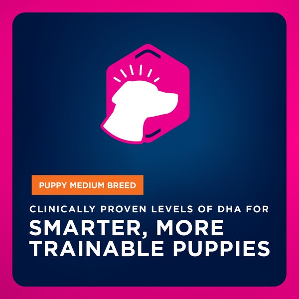 Puppy Medium Breed Dry Dog Food image 4