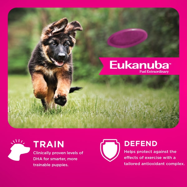 Premium Performance Puppy Pro Dry Dog Food image 3
