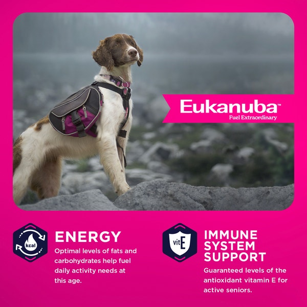 Senior Medium Breed Dry Dog Food image 3