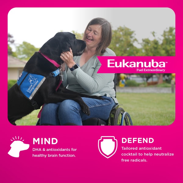 Eukanuba™ Premium Performance 30/28 Work Dry Dog Food, 40 lb image 3