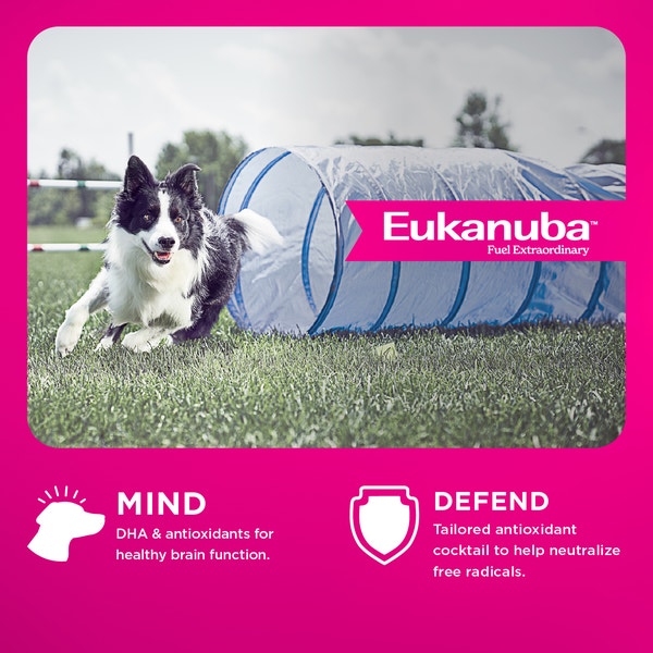 Premium Performance Exercise 26/16 Adult Dry Dog Food image 3