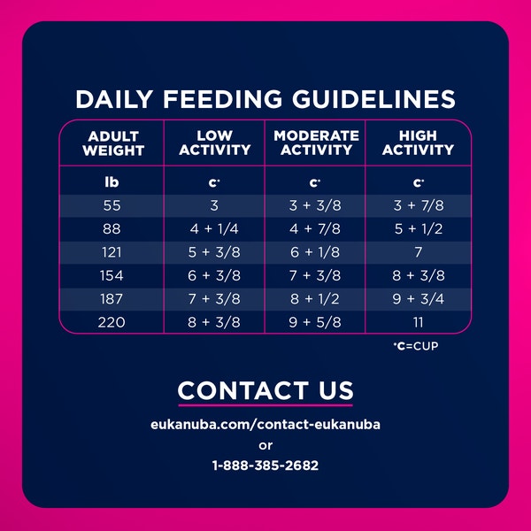 Adult Large Breed Dog Food Dry image 7