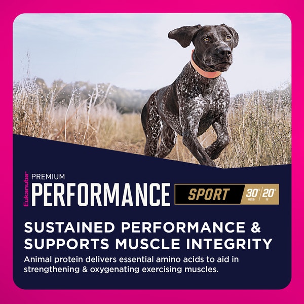 Premium Performance 30/20 Sport Dry Dog Food image 4