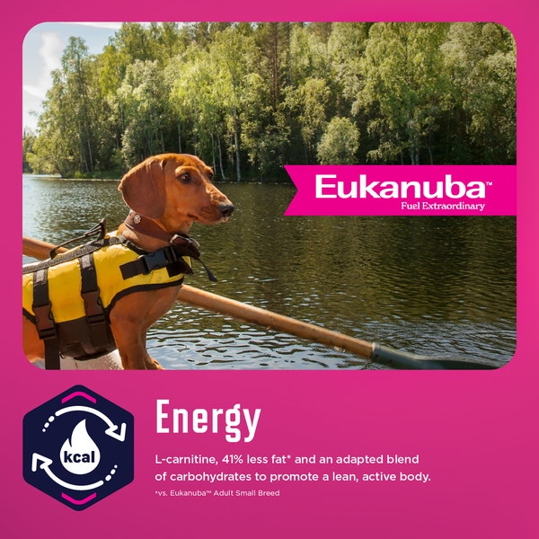 EUKANUBA WM Weight Management Small Breed Dry image 3