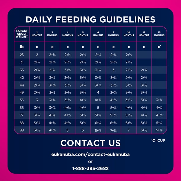 Premium Performance Puppy Pro Dry Dog Food image 7