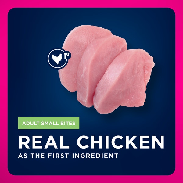 Adult Small Bites Dry Dog Food image 4