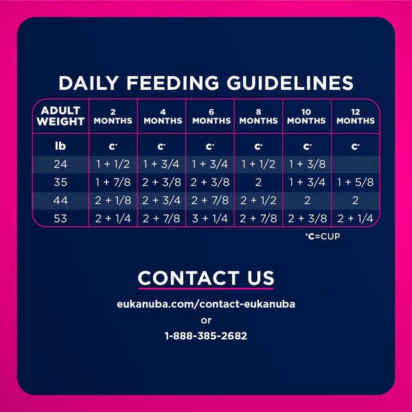 Puppy Medium Breed Dry Dog Food image 7