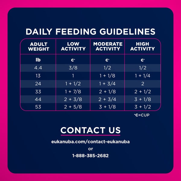 Adult Small Bites Dry Dog Food image 7