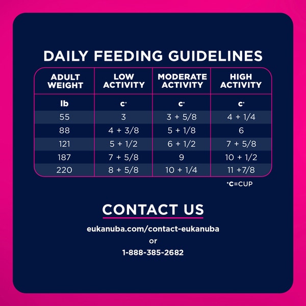 Eukanuba™ WM Weight Management Large Breed Dry Dog Food, 33 lb image 7