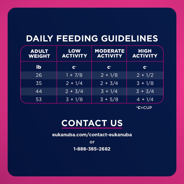 EUKANUBA WM Weight Management Medium Breed image 7