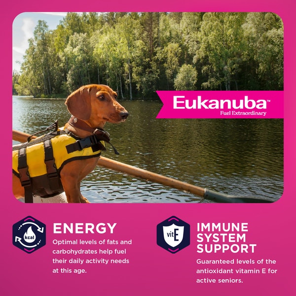 Senior Small Breed Dry Dog Food image 3