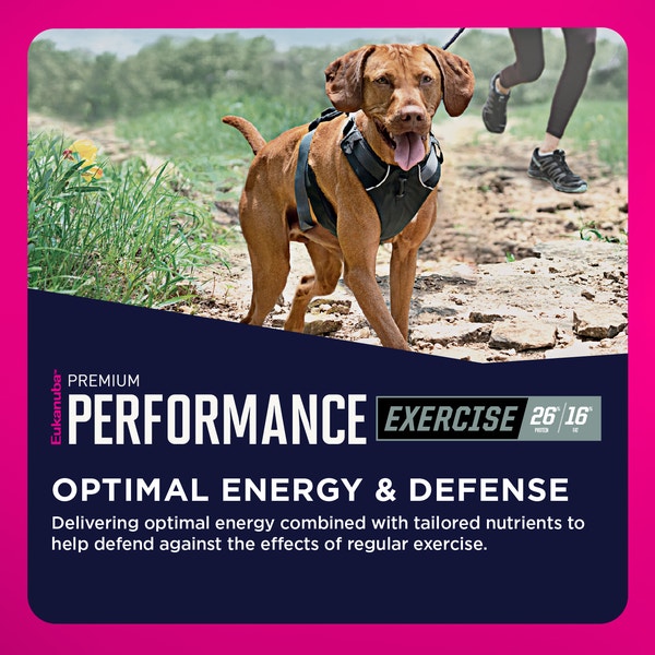 Premium Performance Exercise 26/16 Adult Dry Dog Food image 4