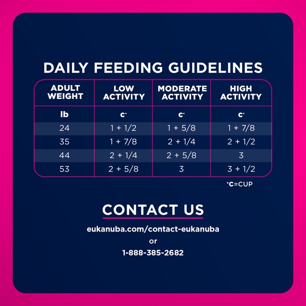 Eukanuba Adult Dry Dog Food for Medium Dogs image 7